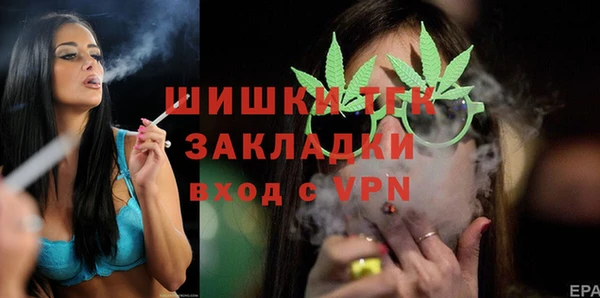 молекула духа Богородицк