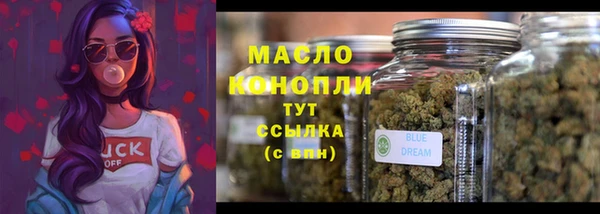 молекула духа Богородицк