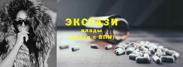 молекула духа Богородицк