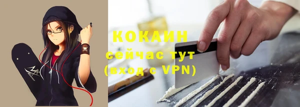 винт Бородино