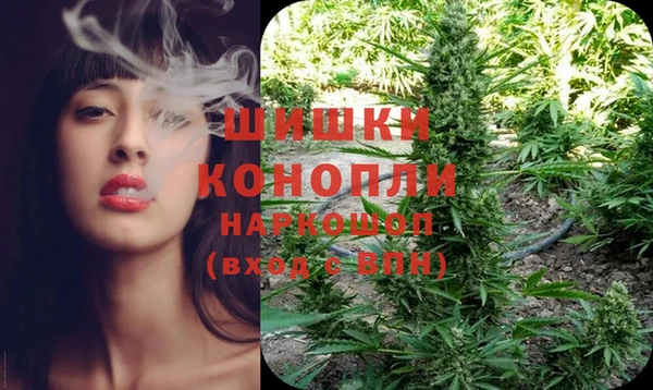 круглые Бронницы