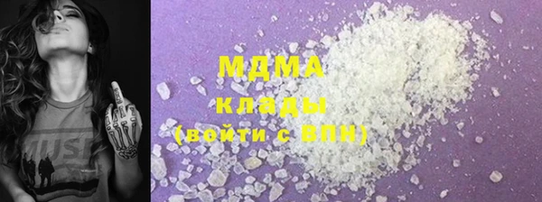 молекула духа Богородицк