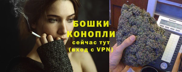 соль ск Богданович