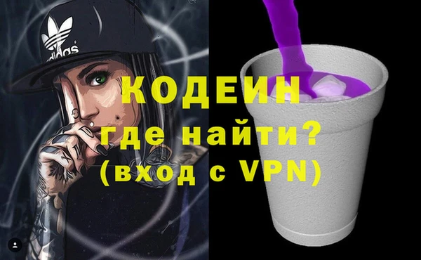 молекула духа Богородицк